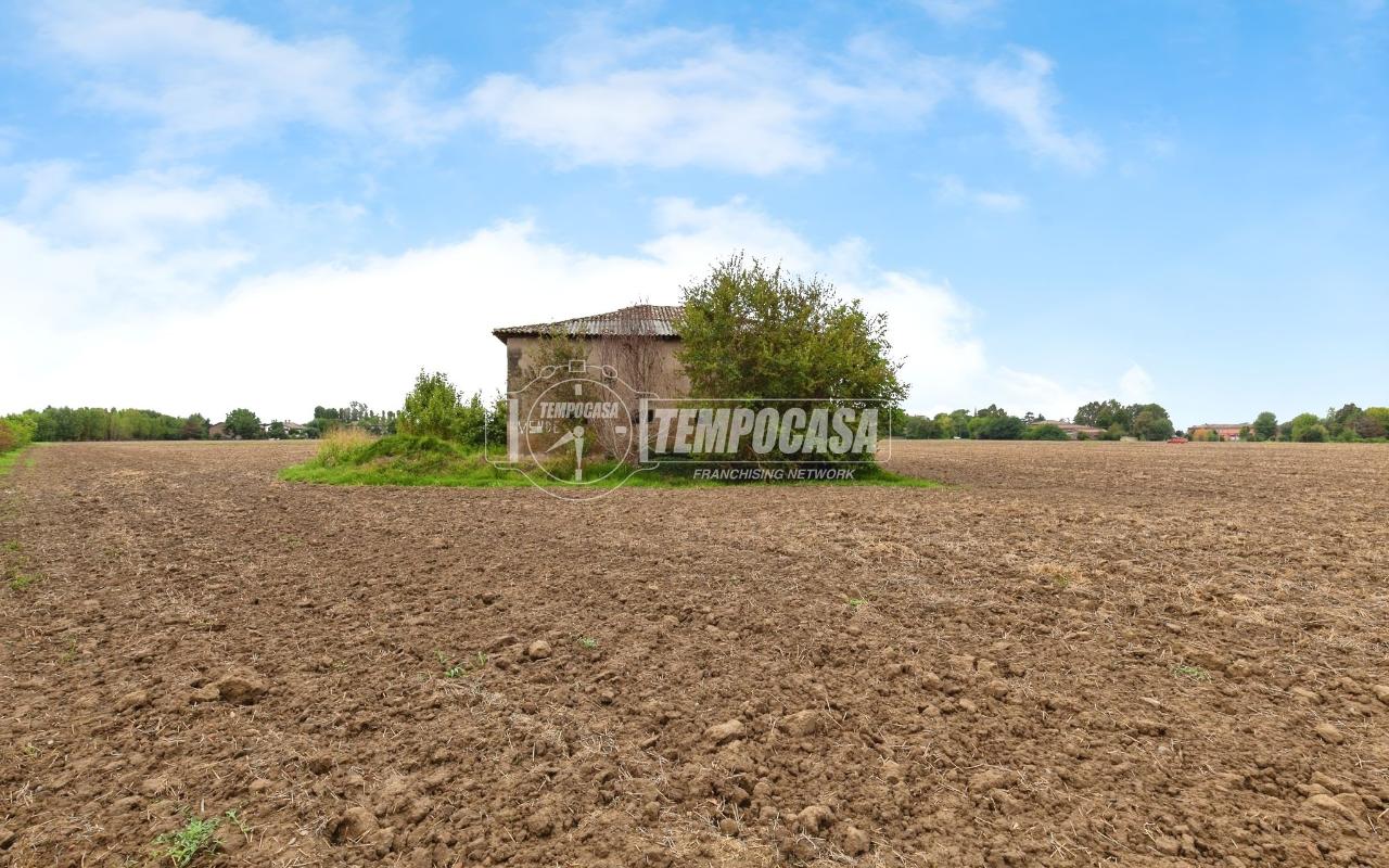 immagine annuncio 7 di 14