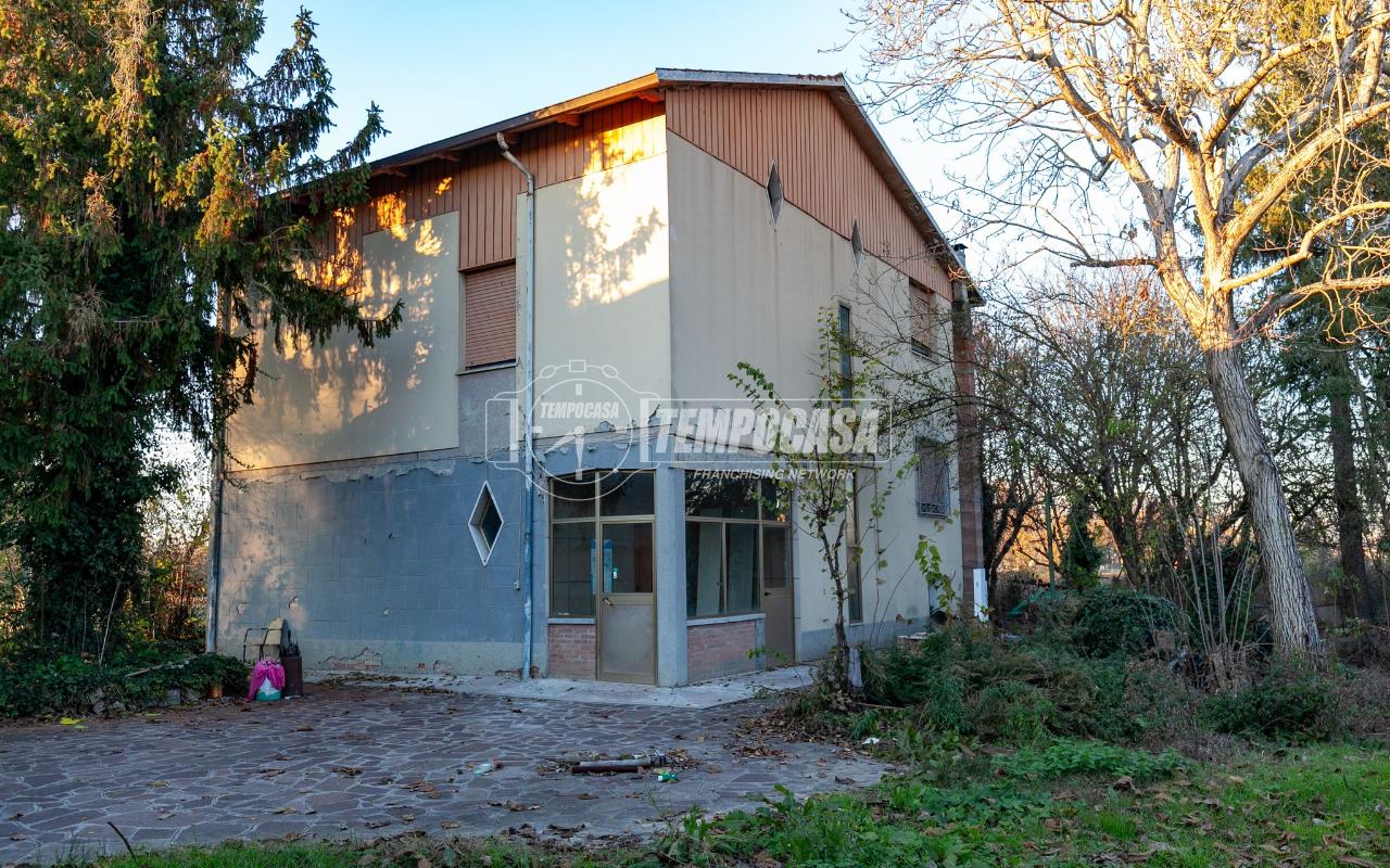 immagine annuncio 5 di 11