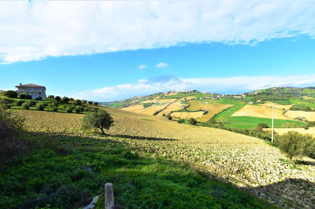 immagine annuncio 6 di 13