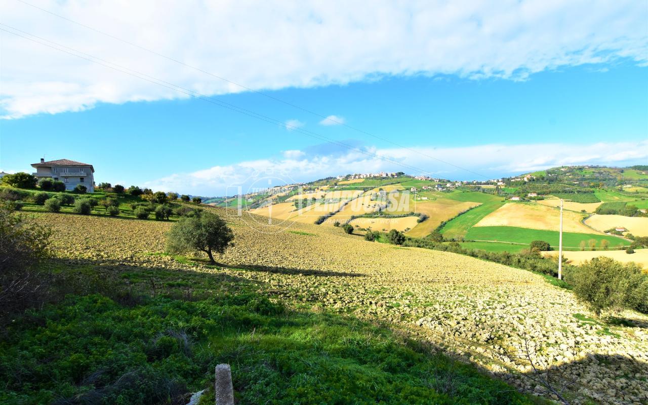 immagine annuncio 6 di 14