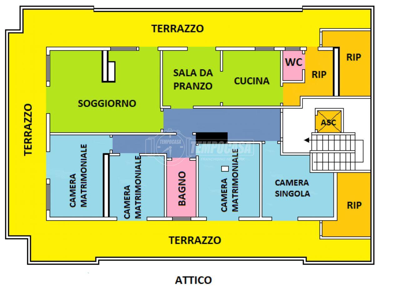 immagine annuncio 1 di 15