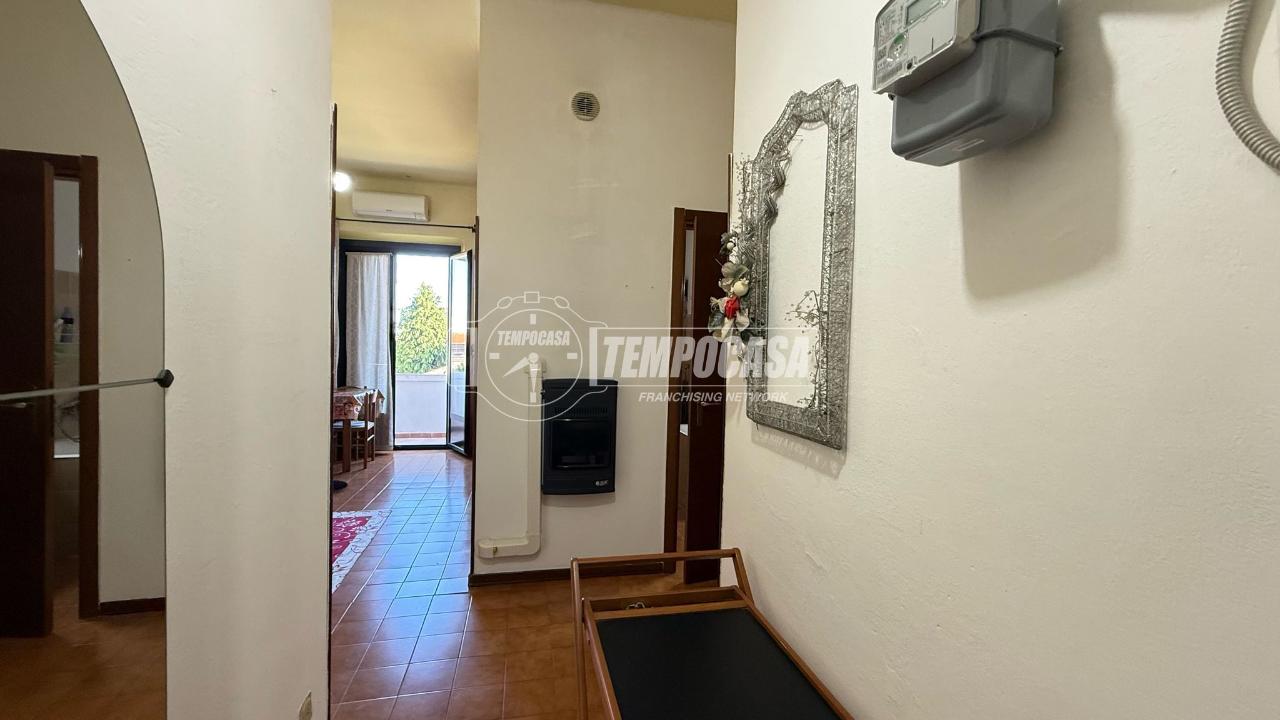 immagine annuncio 7 di 11