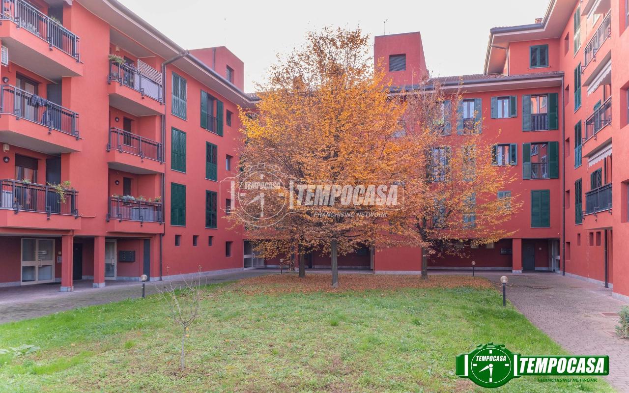 immagine annuncio 11 di 15