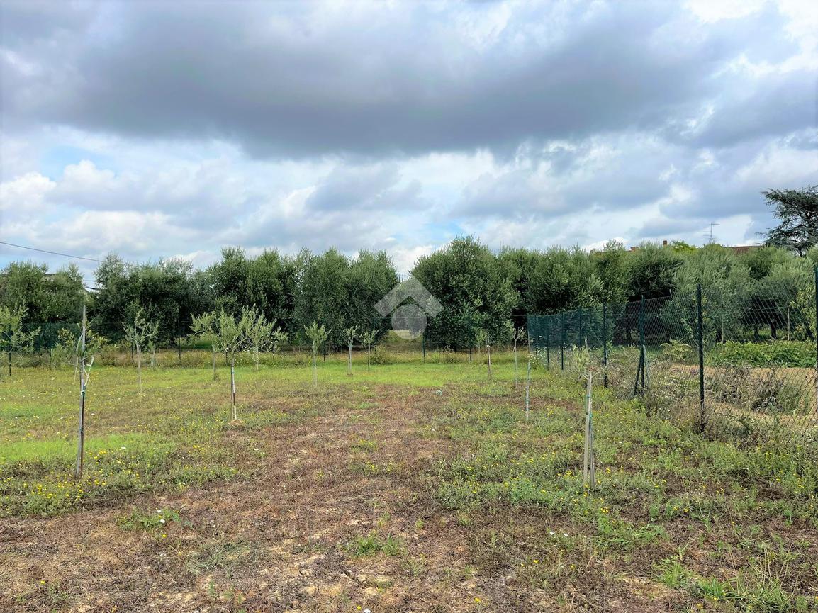 Terreno agricolo in vendita a Empoli