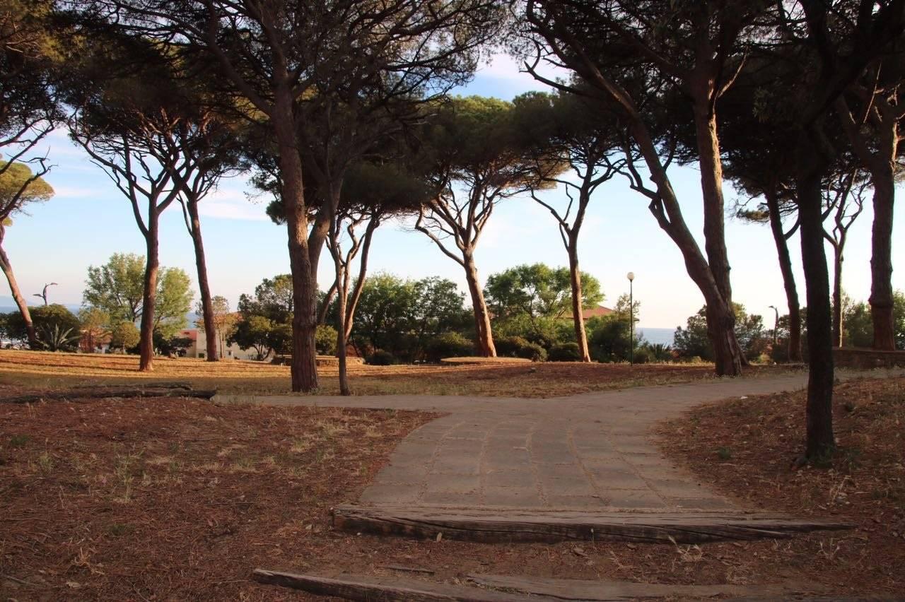 immagine annuncio 5 di 8