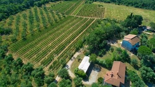 Country house or cottage in Località San Rocco, Suvereto - Photo 1