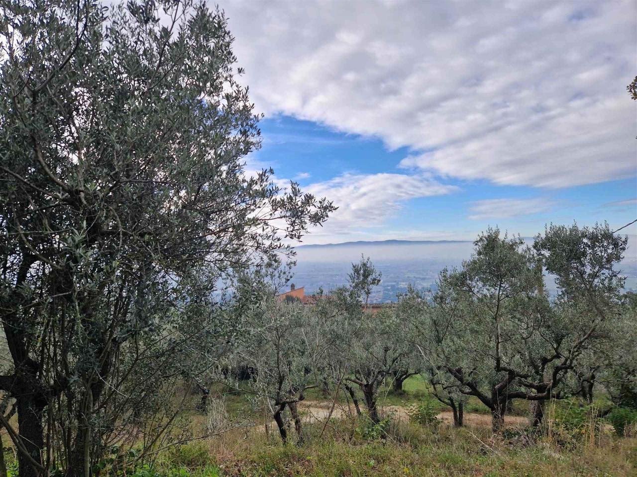 Terreno agricolo in vendita a Assisi