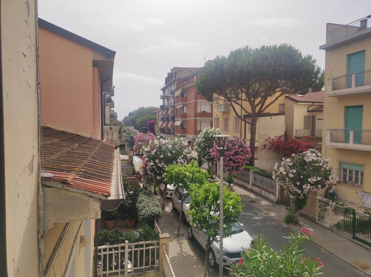 immagine annuncio 13 di 14