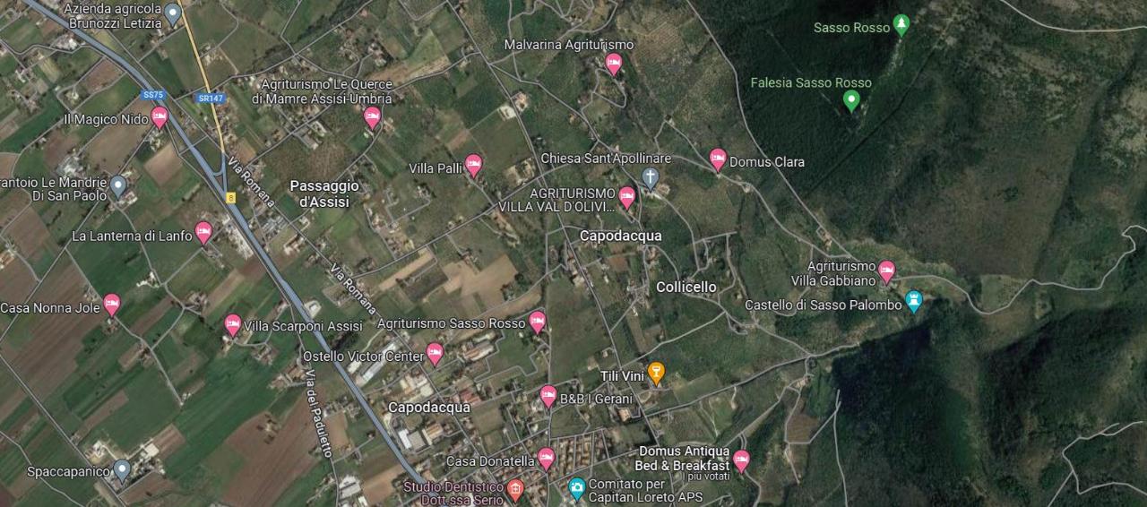 immagine annuncio 5 di 6