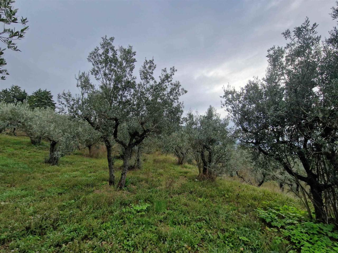 immagine annuncio 1 di 6