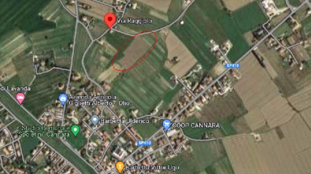 immagine annuncio 2 di 15