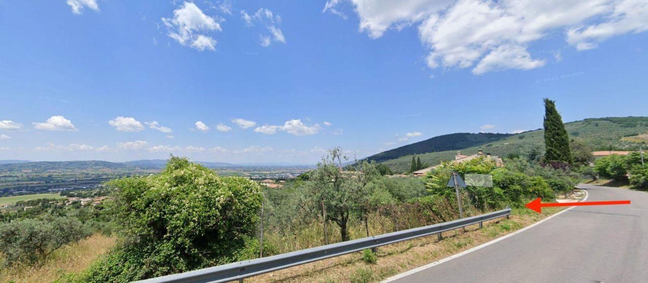 immagine annuncio 5 di 6