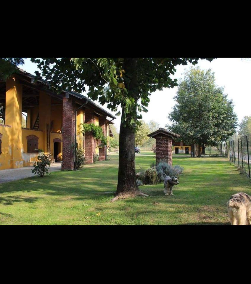 immagine annuncio 12 di 15