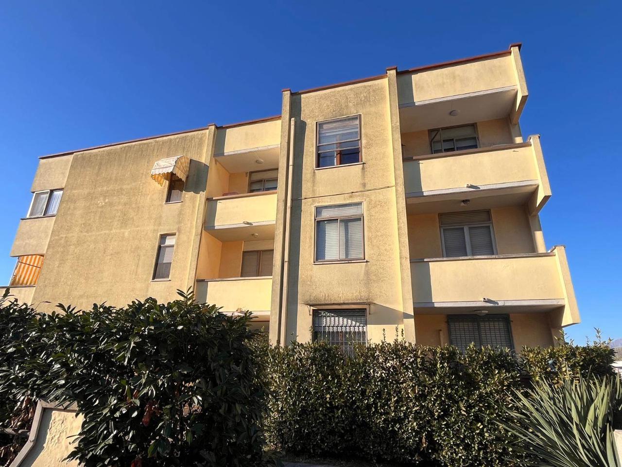immagine annuncio 2 di 14