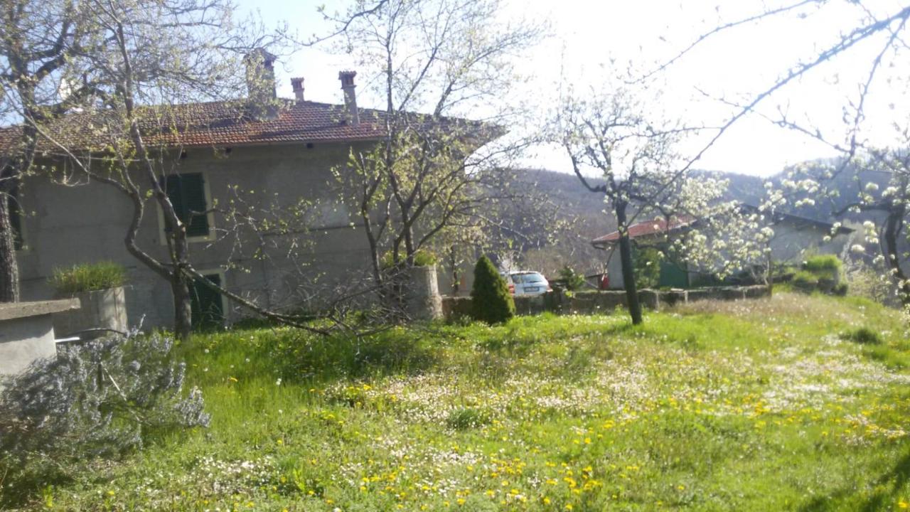 immagine annuncio 6 di 14