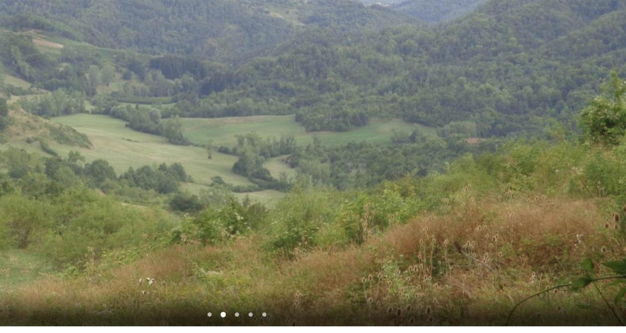immagine annuncio 10 di 14