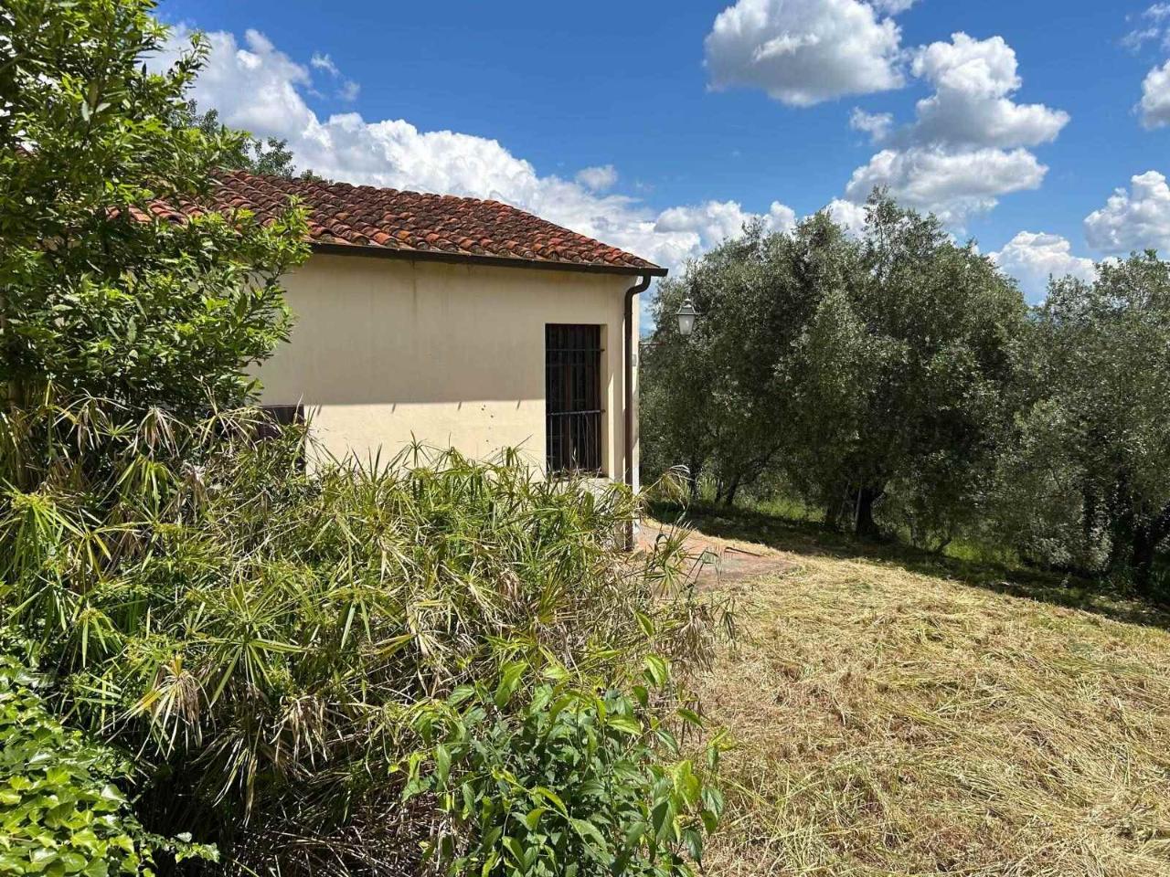 immagine annuncio 8 di 14