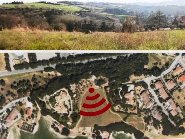 immagine annuncio 2 di 13