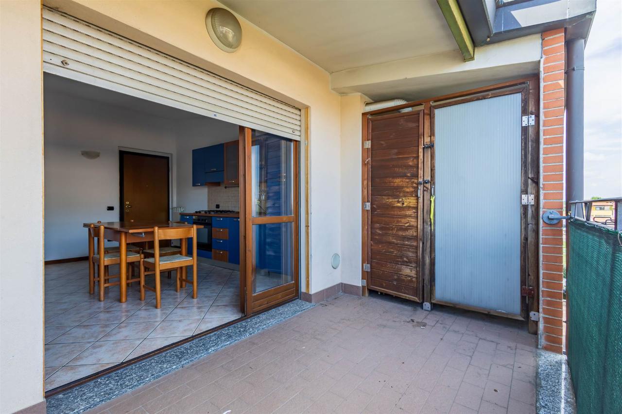 immagine annuncio 6 di 15