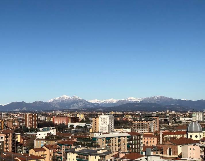 immagine annuncio 11 di 14