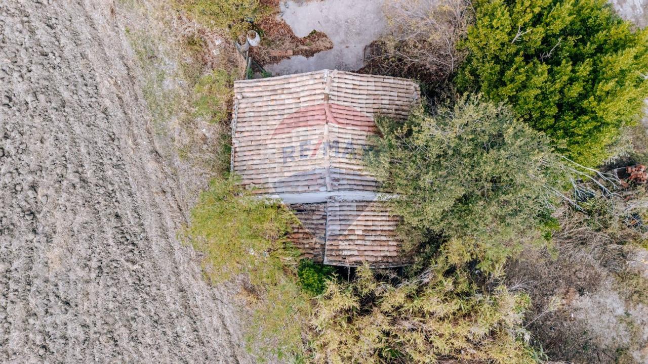 immagine annuncio 10 di 14