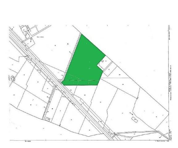 main planimetry real estate image