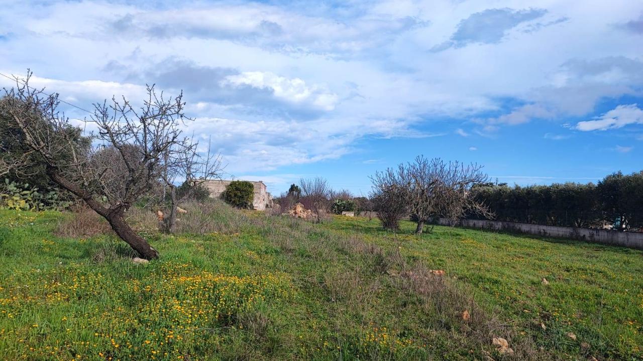immagine annuncio 4 di 7