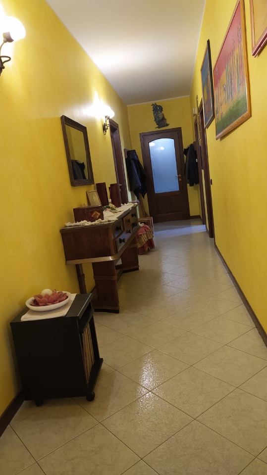 immagine annuncio 1 di 7