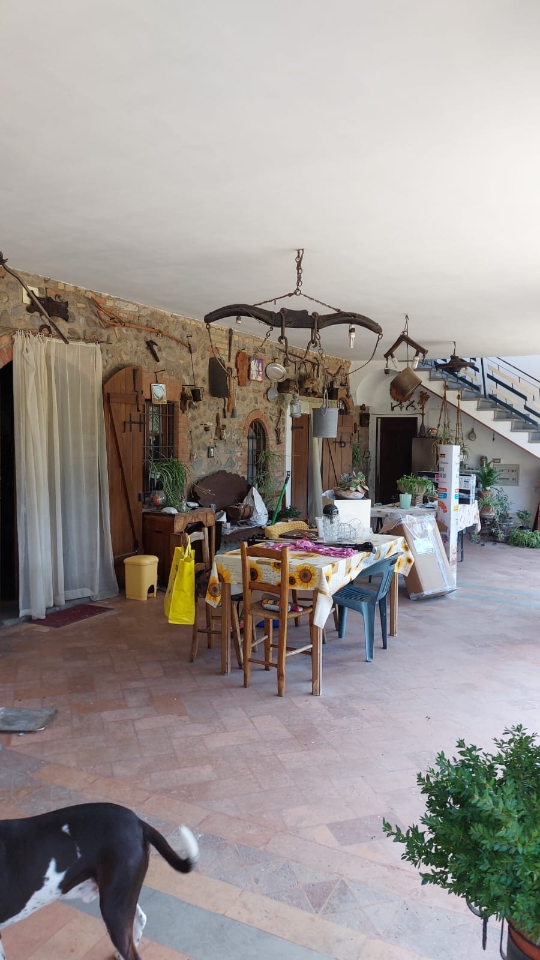 immagine annuncio 9 di 14