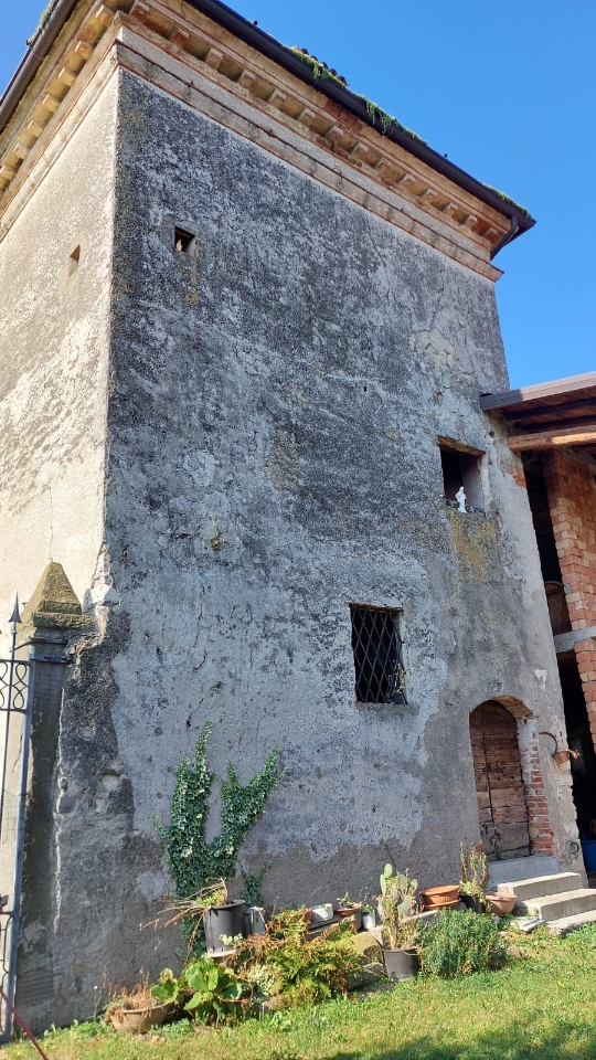 immagine annuncio 4 di 14