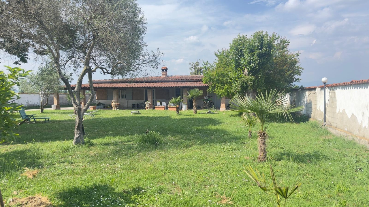 immagine annuncio 7 di 15
