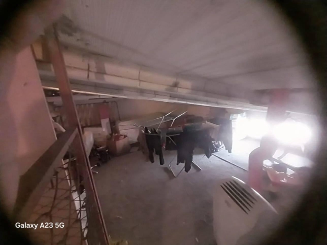 immagine annuncio 2 di 7