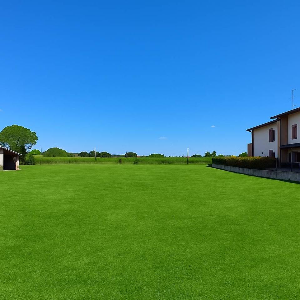 immagine annuncio 1 di 3