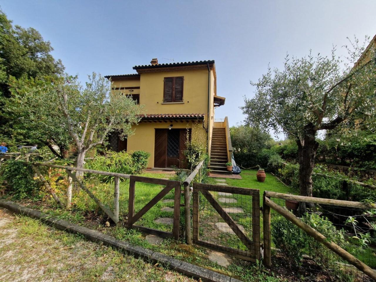 Villa quadrifamiliare in vendita a Montescudaio