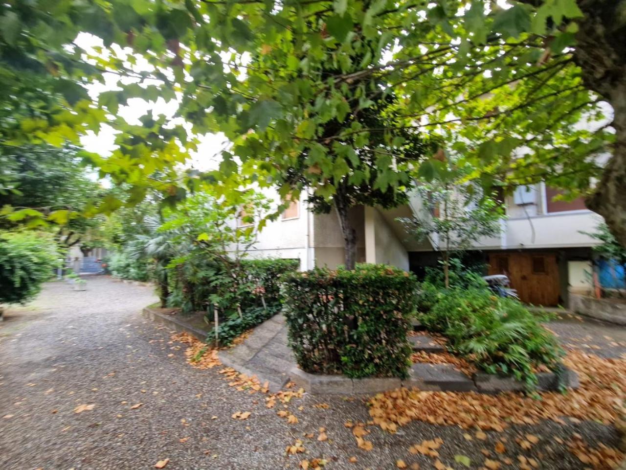 immagine annuncio 3 di 12