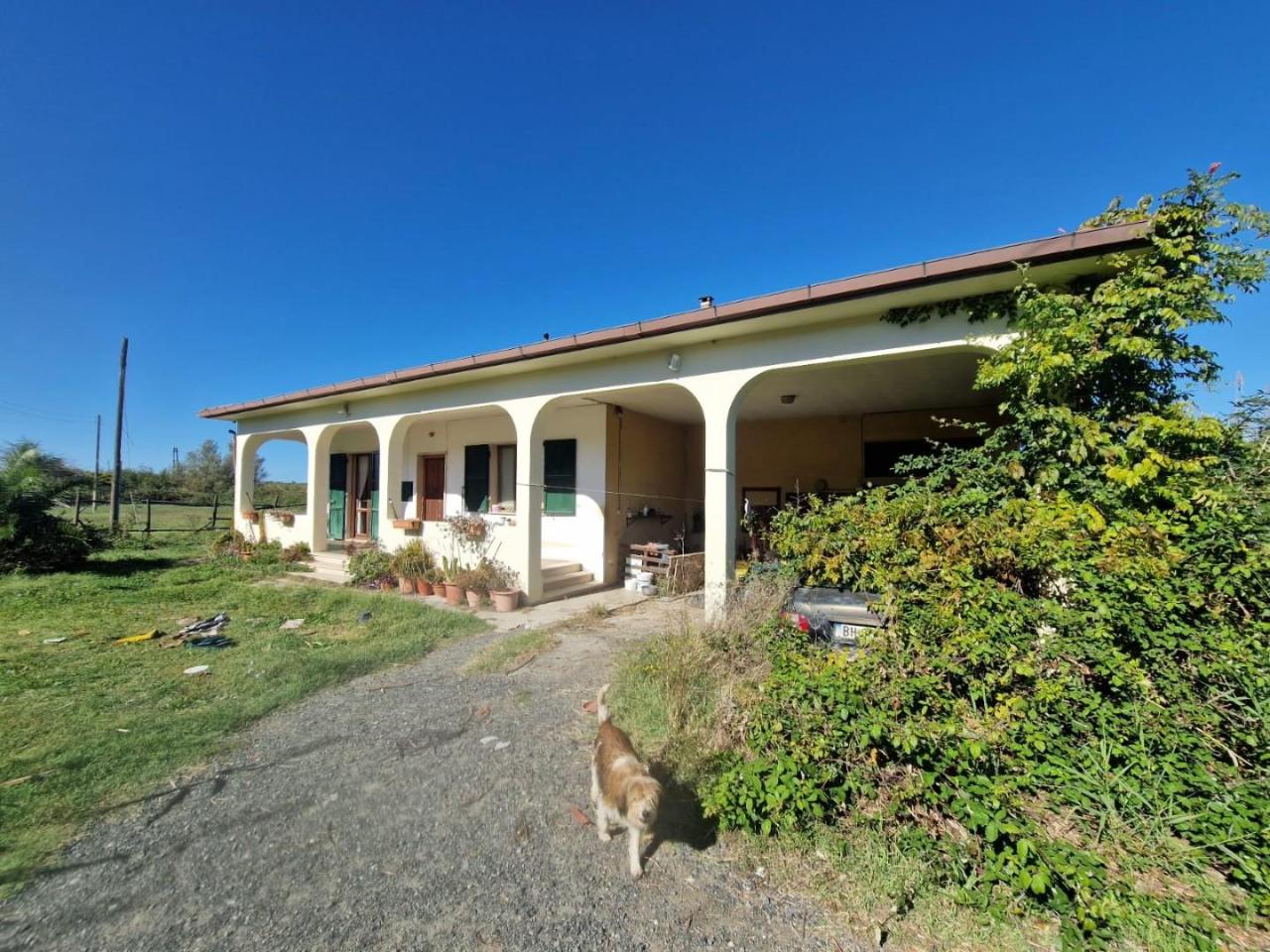 Azienda agricola in , Rosignano Marittimo, {3} - Foto 2