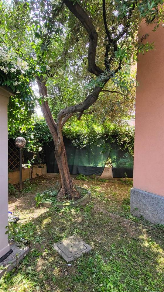 immagine annuncio 2 di 12