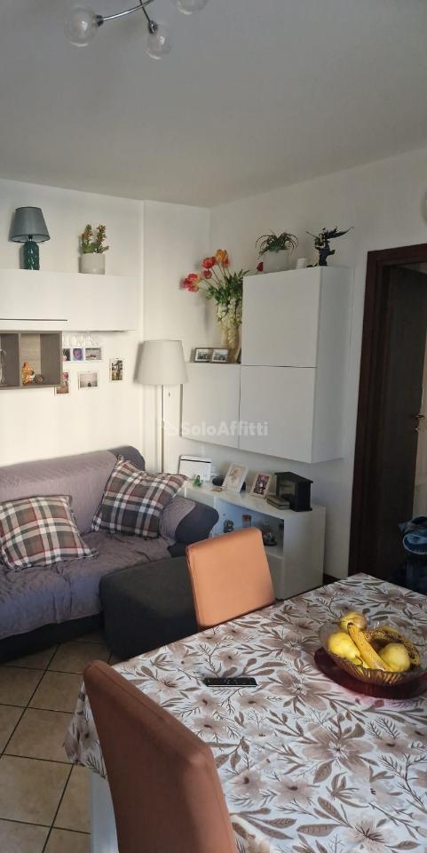 immagine annuncio 6 di 8