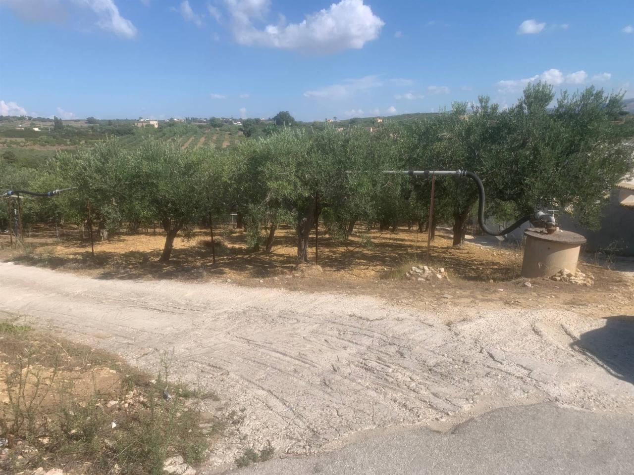 Terreno agricolo in vendita a Sciacca