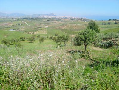 Terreno edificabile residenziale in vendita a Sciacca