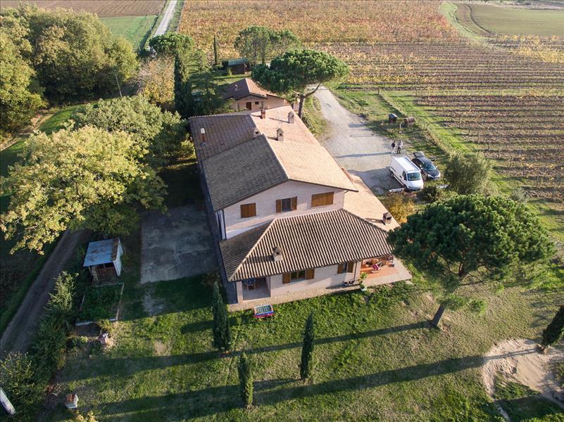 Azienda agricola in , Castiglione Del Lago, {3} - Foto 2