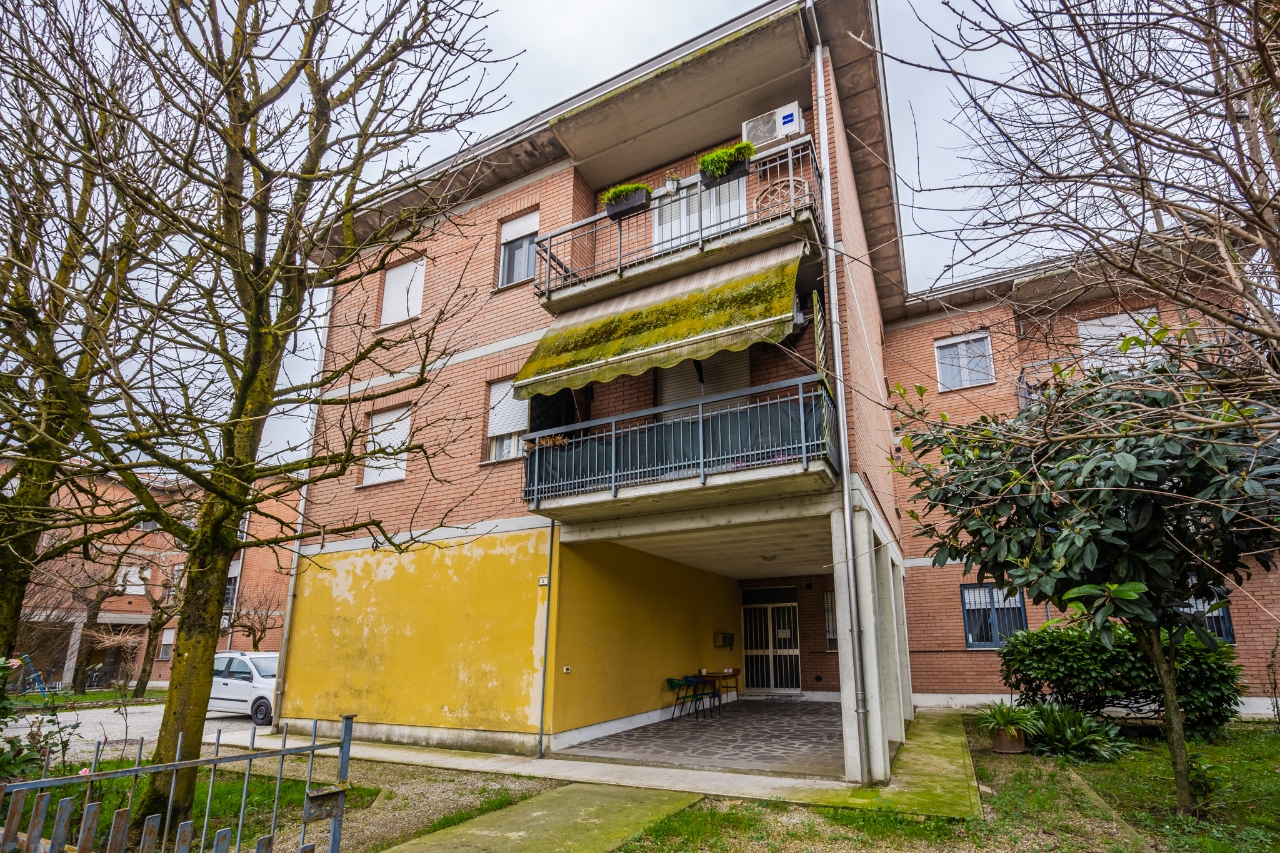 immagine annuncio 12 di 13