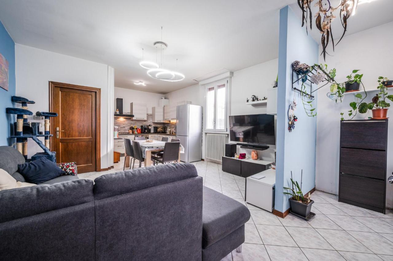 immagine annuncio 12 di 15