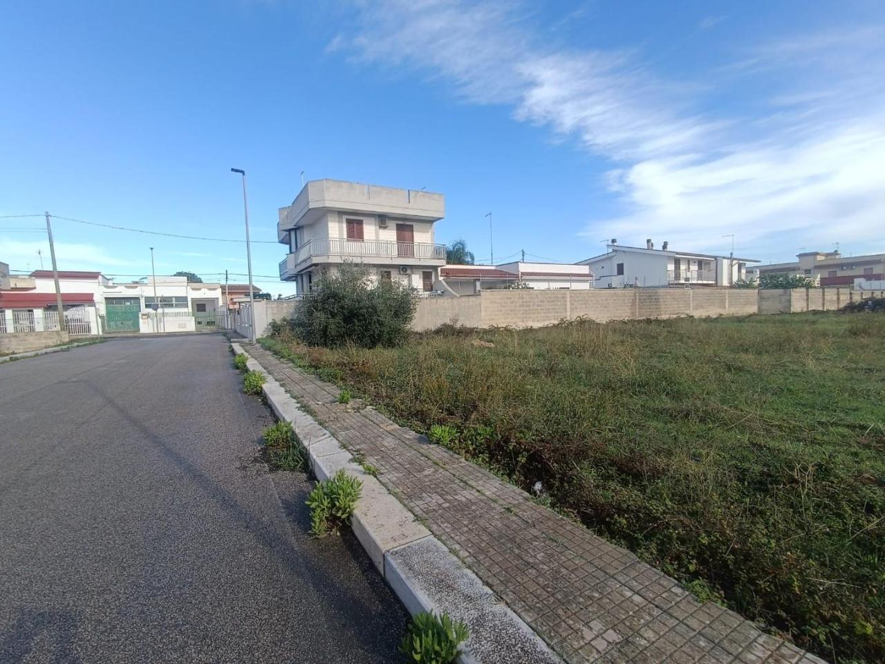 immagine annuncio 3 di 12