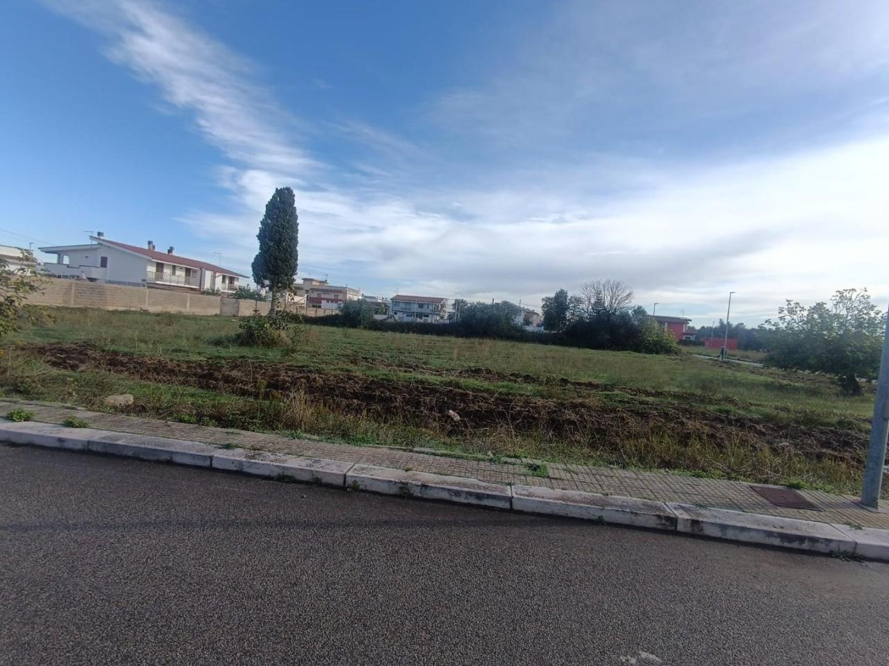 immagine annuncio 5 di 12