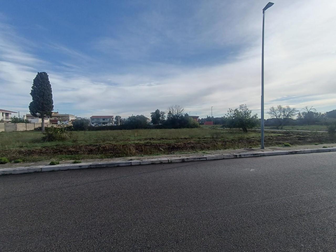 immagine annuncio 9 di 12