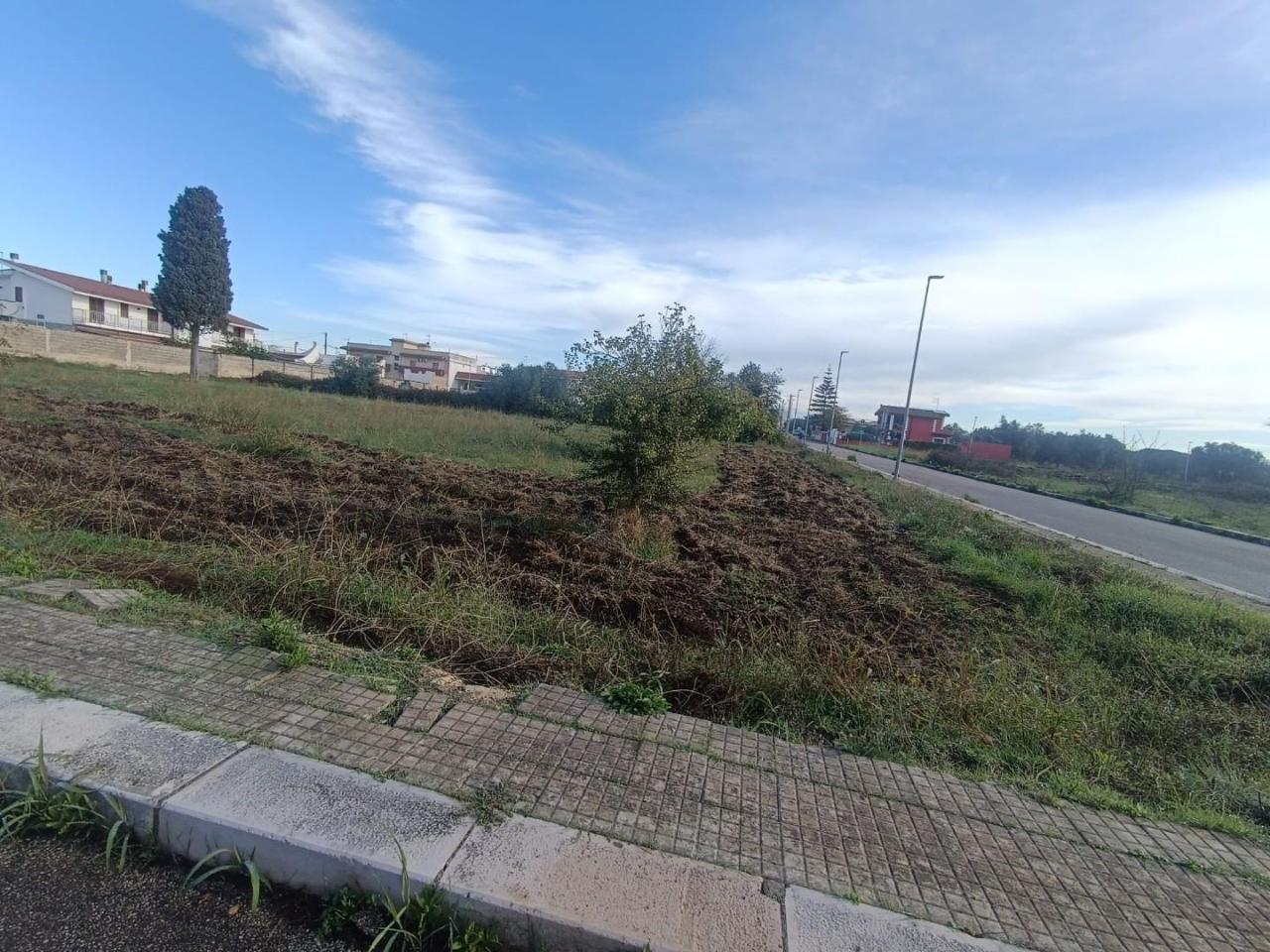 immagine annuncio 10 di 12