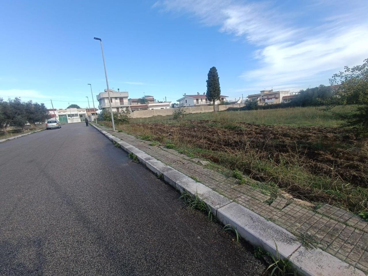 immagine annuncio 11 di 12