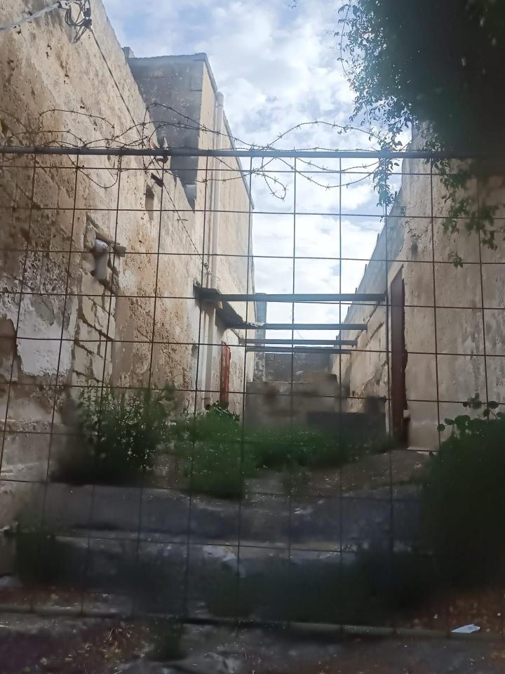 immagine annuncio 2 di 3