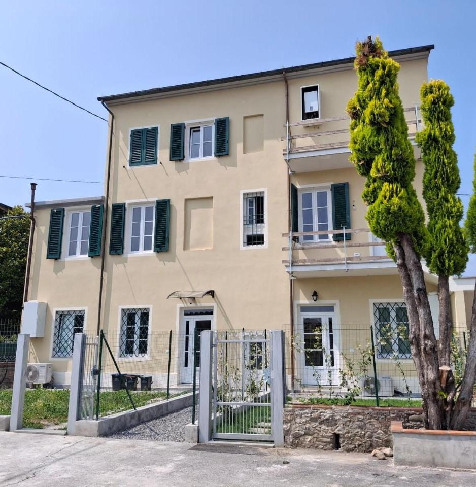 immagine annuncio 3 di 14